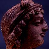 BI95 145,5