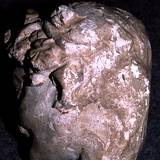 BI95 182,11