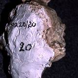 BI95 146,7