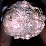 BI95 182,13