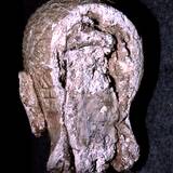 BI95 135,5