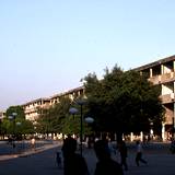 CL94 149,29