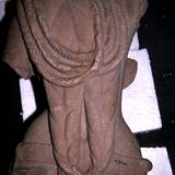 BI95 51,3