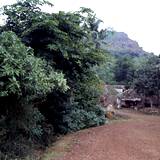 CP03 12,24