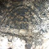 SN05 1000,6771