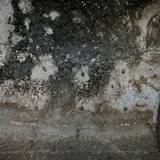 SN05 1000,6794
