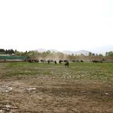 SN05 1000,5958