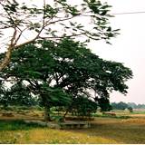 MW03 1000,28
