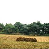MW03 1000,27