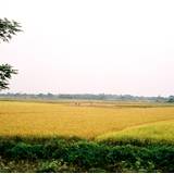MW03 1000,29