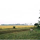 MW03 1000,32