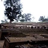 LL03 1000,8