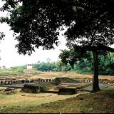 MW03 1000,239