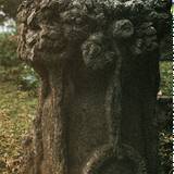 MW03 1000,107