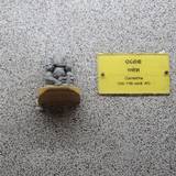 UN09 1000,2809