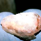 CL94 116,19