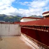 PM09 1001,10117