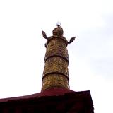 PM09 1001,10102