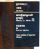 PM09 1001,10812