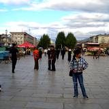 PM09 1001,10050
