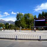 PM09 1001,11204