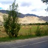 PM09 1001,9809