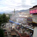 PM09 1001,10216