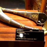 PM09 1001,10770