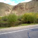 PM09 1001,9806