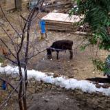 PM09 1001,12032