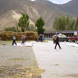 PM09 1001,11807