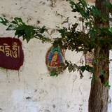 PM09 1001,11135