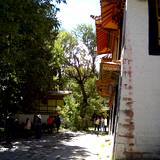 PM09 1001,10447