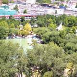 PM09 1001,11082