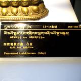 PM09 1001,10789
