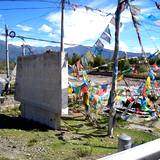 PM09 1001,11181