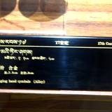 PM09 1001,10778