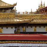 PM09 1001,10070