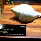 PM09 1001,10768