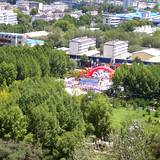 PM09 1001,11080