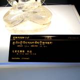 PM09 1001,10844
