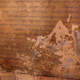 PM09 1001,12461
