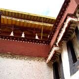 PM09 1001,12420