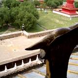 PM09 1001,12355