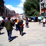 PM09 1001,10365