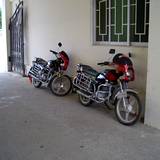 PM09 1001,12179