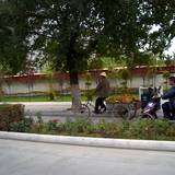 PM09 1001,9828