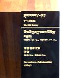 PM09 1001,10813
