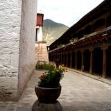 PM09 1001,12431
