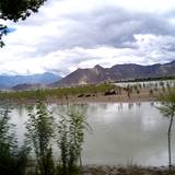 PM09 1001,9822